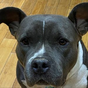 Meet your Posher, Marietta